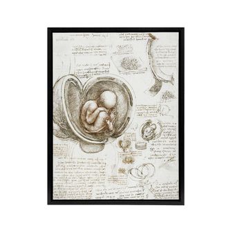 Artery8 Studies of the Foetus in the Womb da Vinci Black Framed Canvas Art in Beige | Size: W24 x H32