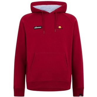 Ellesse Heren-hoodie met raglanmouwen en borduursel (Bourgondi&euml;)