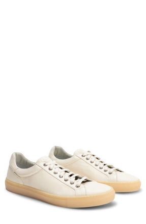Robert Barakett Terrence Low Top Leather Sneaker in Ivory at Nordstrom, Size 10.5