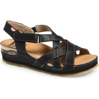 On Foot Cynara Ankle Strap Sandal in Menorca Black at Nordstrom, Size 10.5Us