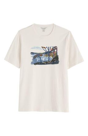 Seasalt Cornwall Midwatch Organic Cotton Graphic T-Shirt in Through The Trees Chalk at Nordstrom, Size Xx-Large
