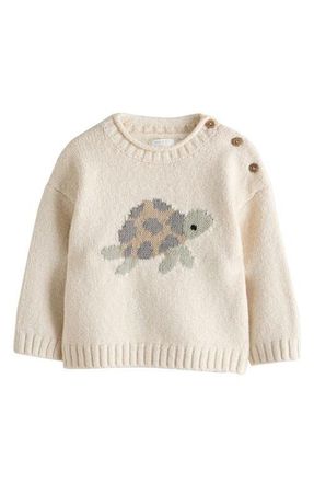 Next Kids Turtle Sweater in Cream at Nordstrom, Size 12-18M