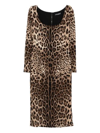 Dolce & Gabbana animal-print dress - Brown