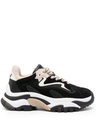 Ash panelled low-top sneakers - women - Calf Leather/Calf Leather/Fabric/Rubber - 40 - Black