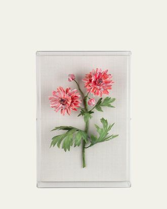 Tommy Mitchell Crysanthemum November Birth Flower Wall Art