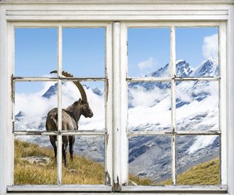 Queence Wandsticker »Steinbock« Wandsticker, Wandbild, selbstklebend, 3D, Fenster, Steinbock