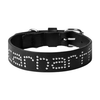 Carhartt Work in Progress Script Studs Hondenhalsband - unisex - Accessoires - Zwart - Maat: ONE Size Leer