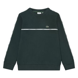 Lacoste Kids Sweatshirts, male, Green, 14 Y, Micro Taping Sweatshirt