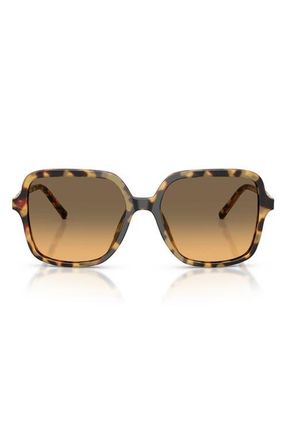 Dolce & Gabbana 55mm Square Sunglasses in Yellow Havana /Yellow Grey at Nordstrom