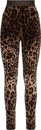 Dolce & Gabbana leopard-print jacquard leggings - women - Cotton/Nylon - 44 - Brown