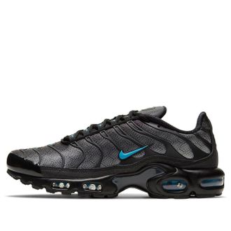 Nike Air Max Plus Black Hex DC1935-001