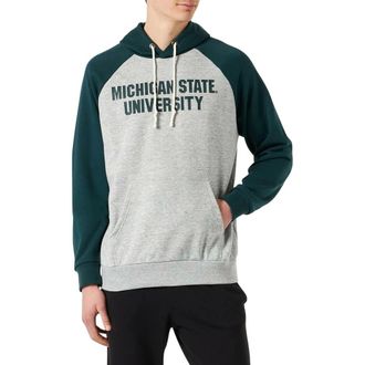 Champion Heren, Sweatshirts & Hoodies, Veelkleurig, Maat: XL