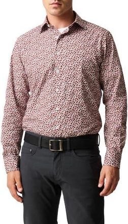 Rodd & Gunn Greenstreet Sports Fit Cotton Button-Up Shirt in Garnet at Nordstrom Rack, Size Xxx-Large