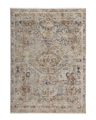 Verlaine Frencess Oriental Gray/Blue Rug