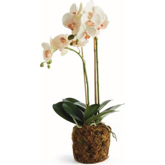 Napa Home & Garden Phalaenopsis Orchid Artificial Plant Drop-In in Pink at Nordstrom