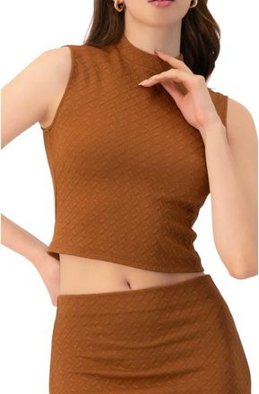 Ivonne Knit Sleeveless Crop Top in Brown at Nordstrom, Size 10