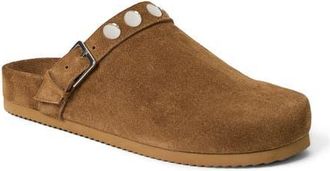 Paige Weaver Studded Clog in Chestnut at Nordstrom, Size 10.5