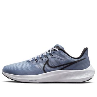 Nike Pegasus 39 Ashen Slate Light Blue Cobalt Bliss DH4071-401