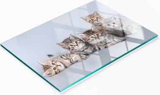 OEM Tabla De Cocina De Vidrio Duradera Y Elegante Con Estampado De Cinco Gatos, 80x52 Cm