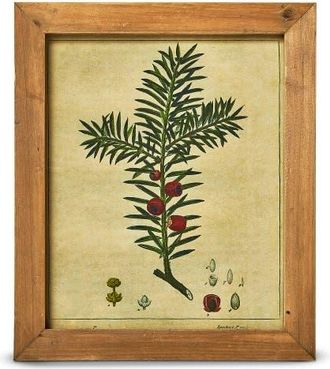Tag Pine Berry Vintage Wall Art - Colorful Wooden Decor in Multicolored at Nordstrom, Size Medium