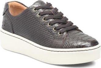 B&oslash;rn Mira Platform Sneaker in Brown Snake at Nordstrom, Size 6.5