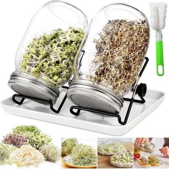 OEM Frascos Para Germinaci&oacute;n Rotatoria, Germinador De Vidrio De 950 Ml Con, Germinador Para Germinar Semillas, 2 Rejillas, 2 Soportes, 1 Recipiente Para G