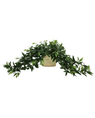 Creative Displays Inc. Ruscus Arrangement In Ceramic Pot