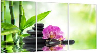 OEM Placa Protectora De Vidrio Para Estufa 3x30x52