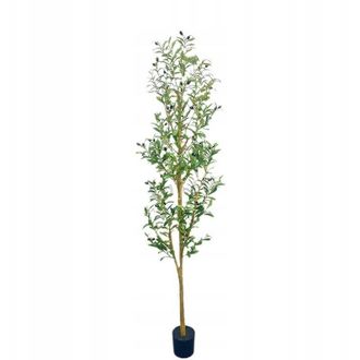 OEM Olivo Artificial Xxl En Maceta Realista 180cm Decoraci&oacute;n