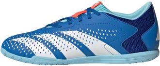 adidas Predator Accuracy.4 IN Bright Royal Blue GY9989