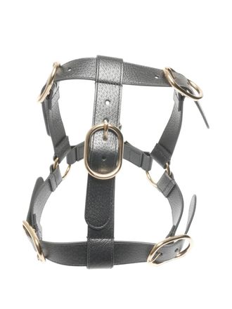Gucci 2015-2020s buckle leather dog harness - Zwart