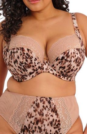 Elomi Lucie Full Figure Underwire Plunge Bra in Wildcat at Nordstrom, Size 40Dd