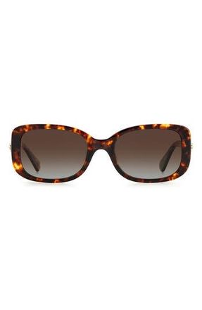 Kate Spade New York dionnas 52mm polarized rectangular sunglasses in Gold Havana /Brown Grad at Nordstrom Rack
