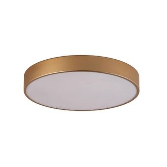 Netlighting Orbital 40cm Flush Ceiling Light Gold 4000K Neutral White