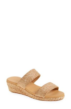 Chocolat Blu Farra Platform Wedge Slide Sandal in Toast Raffia at Nordstrom, Size 6