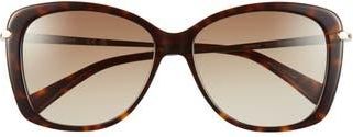 Longchamp Butterfly Gradient Sunglasses in Dark Havana at Nordstrom Rack
