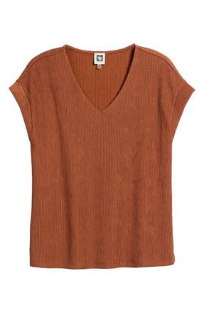 Anne Klein Knit V-Neck Top in Cedar Spice at Nordstrom, Size Xx-Small