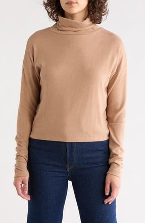 Renee C Cowl Neck Brushed Knit Crop Pullover in Khaki at Nordstrom Rack, Size X-Large