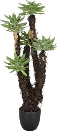 Creativ Green Kunstpflanze