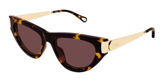 Chlo&eacute; CH0350S 003 Womens Sunglasses Tortoiseshell Size 54