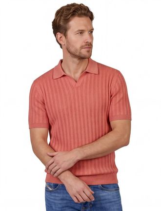 Baileys Polo Baileys v-hals gestreept normale fit rood