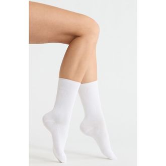 Nordstrom Everyday Rib Crew Socks in White at Nordstrom, Size 9