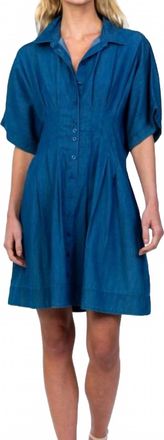 Tolani Holden Dress In Azure