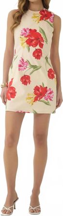 Hutch Janesta Mini Dress In Beige