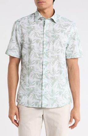 Robert Barakett Hewitt Cotton Button-Up Shirt in Aqua Green at Nordstrom Rack, Size Xx-Large