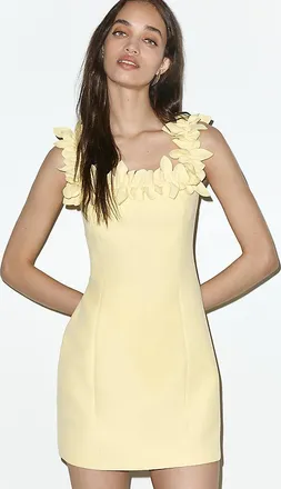 Elliatt Cara 3D Floral Mini Dress
