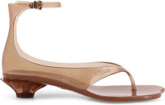 Chlo&eacute; Tpu Jelly Sandals With Shell Heel-Donna