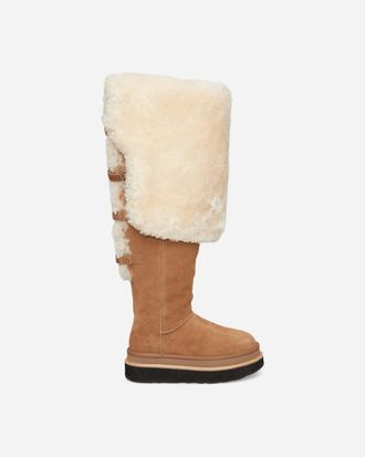 UGG Women s sacai Thigh High Boots Chestnut