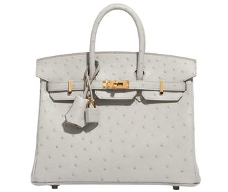 Hermès Hermès HSS Autruche Gris Perle Birkin 25 With Gold-tone Hardware Size S