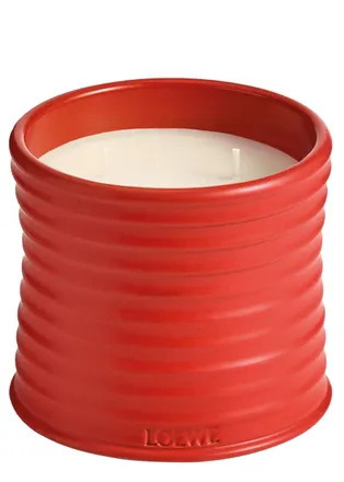 Loewe Tomato Leaves Candle - Medium 610g, Candle, High-intensity Fragrance, Green Scent That Evokes the Fresh, Verdant Aroma of the Vines